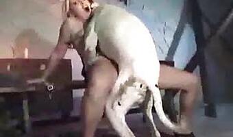 Zoofilia Fuck - Animal Sex Porn Tube. Best bestiality zoo sex video content on the ...