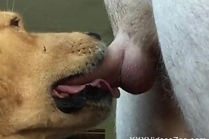 Girl raped by dog in her tight cunt