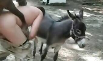 Animal Sex with Dog