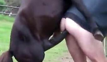 Animal Sex Porn Tube. Best bestiality zoo sex video content on the net!