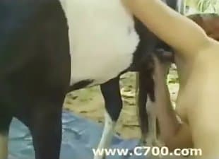 310px x 225px - Animal Porn - animal porno tube with huge collection of free ...