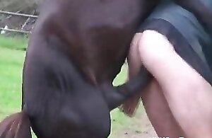 Animal porno with Sex With