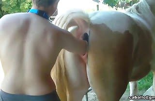 Horse And Girl Bf Video Sexy - Animal Sex Porn - dog sex, horse sex, zoo sex, beastiality porn ...