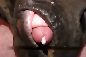 Animal Sex - Dick content and zoo sex videos.