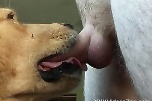 Animal zo porno seks