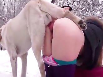 Donkey Animal Fuck With Girls Hd Video - Beastiality TV: animalsex
