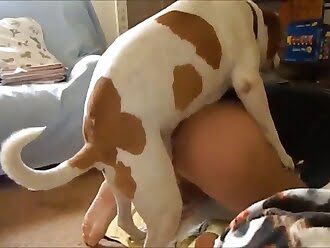 Porn video for tag : Dog anal girls