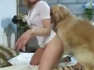 Dog Human Sex - Beastiality TV: animal-human-porn