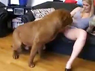 Animal sex with girl