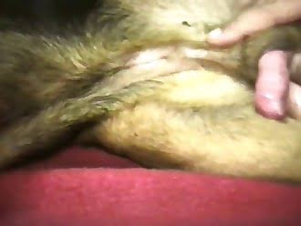 Beastieality Anal Porn - she just filthy zoophile slut