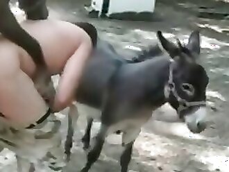 Animal Sex with Dog