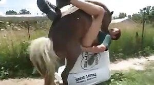 horse-sex-video
